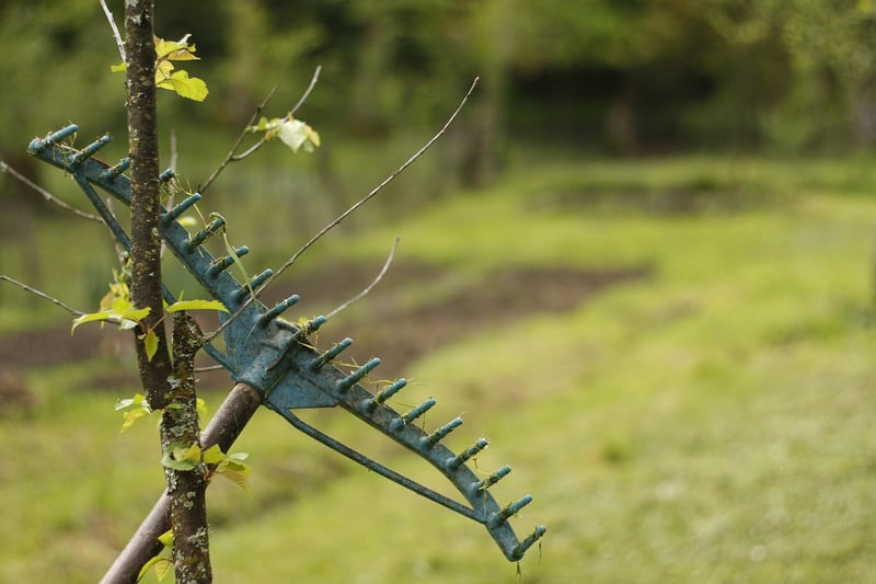 Gardening
